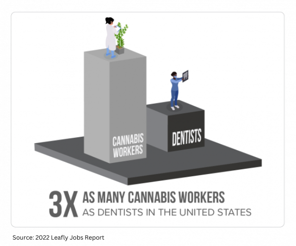 Source 2022 Leafly Jobs Report-6