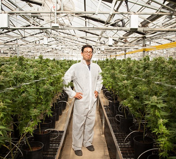 Cannabis Career Resource Center